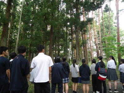 福島県林業研究センター